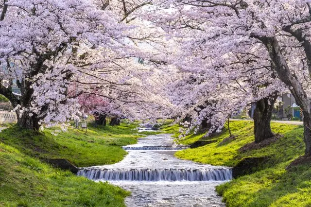 桜の名所も多く、四季折々の景観を楽しめる