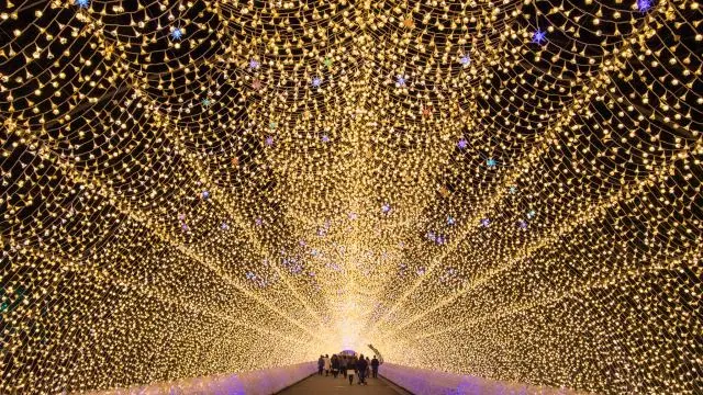 なばなの里のイルミネーション・光の回路では幻想的な光景を体験できる