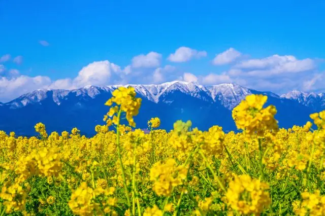 除了琵琶湖周邊之外，滋賀也有許多迷人的自然景觀