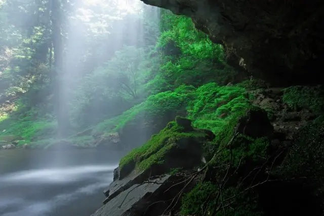 神話と自然が息づく島根を遊び尽くす旅行ガイド
