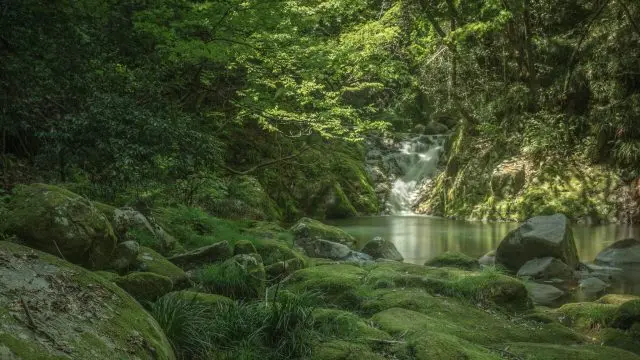 多様な自然景観を楽しめるのも茨城の魅力のひとつ