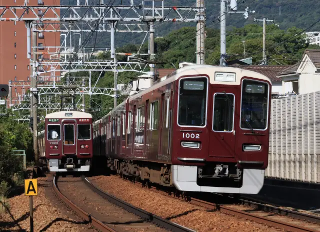 除了山區以外，大眾交通相當完善
