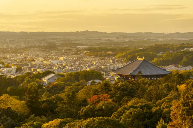 奈良是一座擁有眾多文化財產的古都