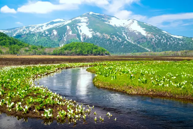 様々な自然景観に出会える尾瀬国立公園