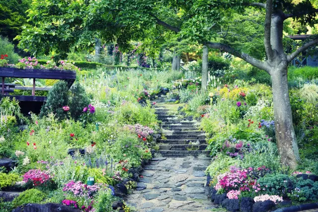 在花草世界享受五感體驗，使身心得到療癒的空中樂園