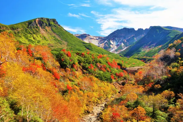 绚丽多彩是日本红叶所具有的独特魅力