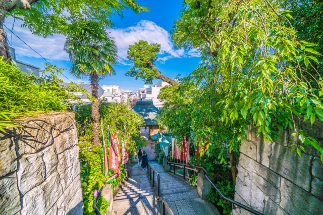 人気観光地が集まる神奈川を遊び尽くす旅行ガイド