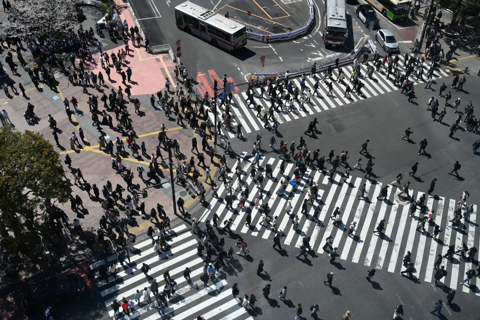 從這裡能以恰到好處的角度與距離欣賞十字路口