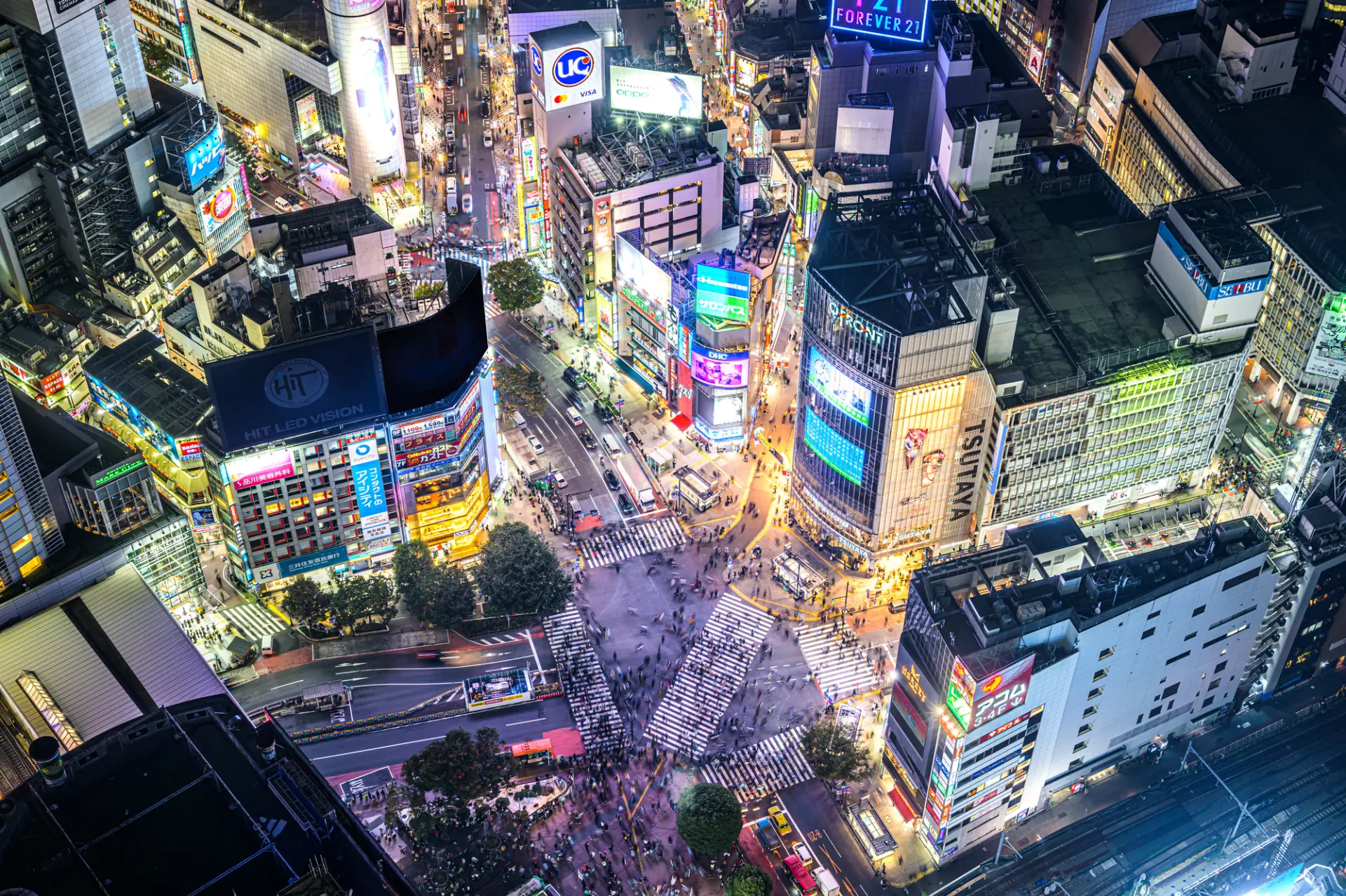 夜間票價較高,但能盡情欣賞物有所值的景色
