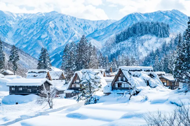 豊かな自然だけでなく富山に残る建築文化や生活様式にも注目しよう