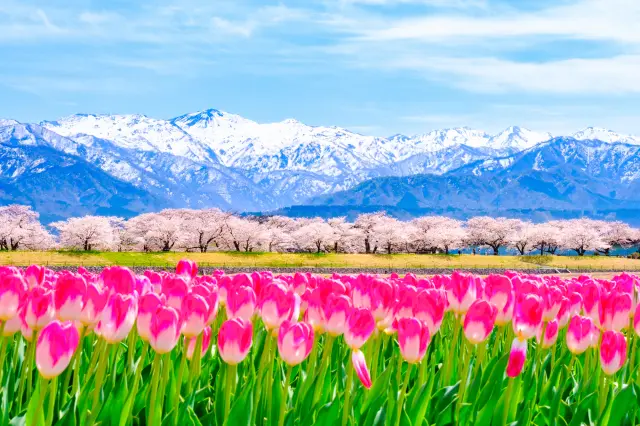 雄大な自然景観と日本の原風景に出会える！富山の旅行ガイド