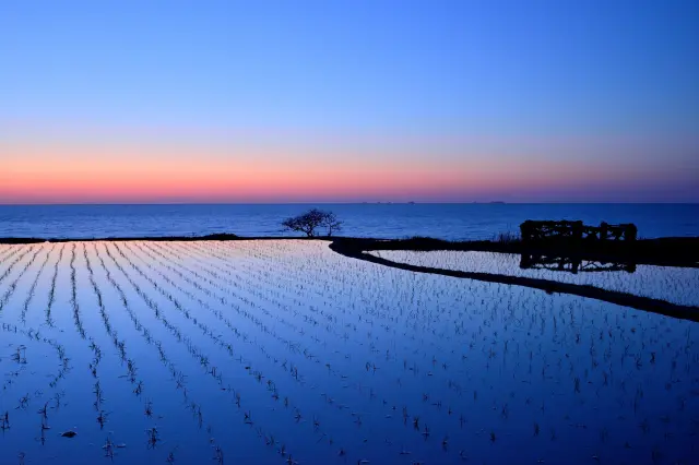 歴史文化だけでなく、多様な景勝地も石川の魅力のひとつ