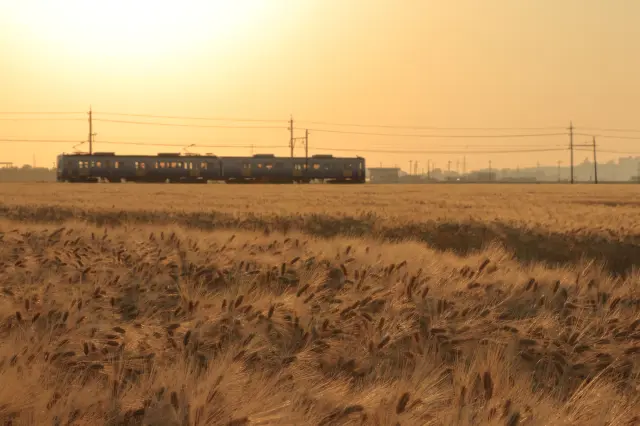 ローカル線でゆっくり旅するのも楽しみ方のひとつだ