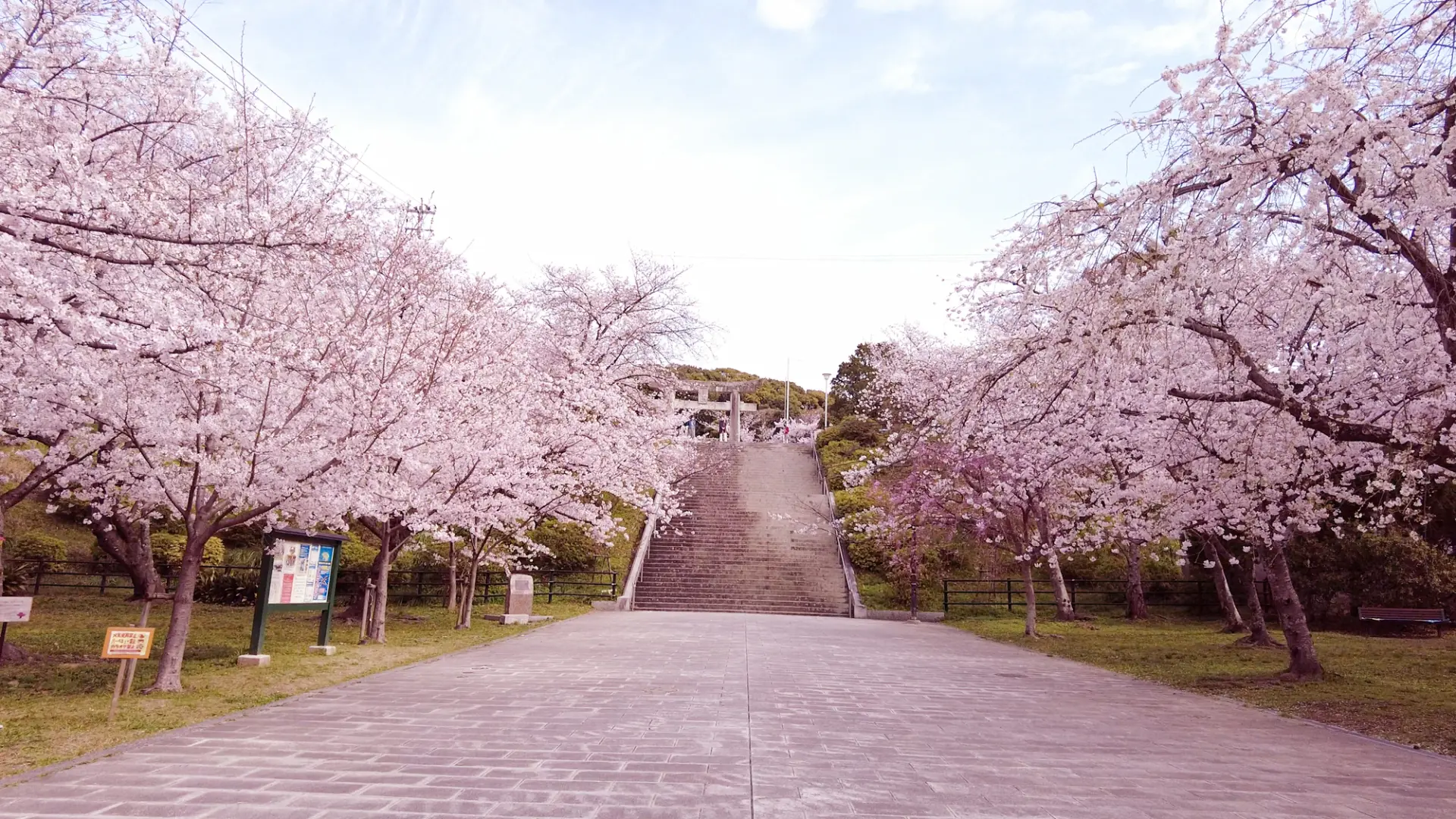 丘陵と渓谷を活かした公園に桜が咲き誇る西公園