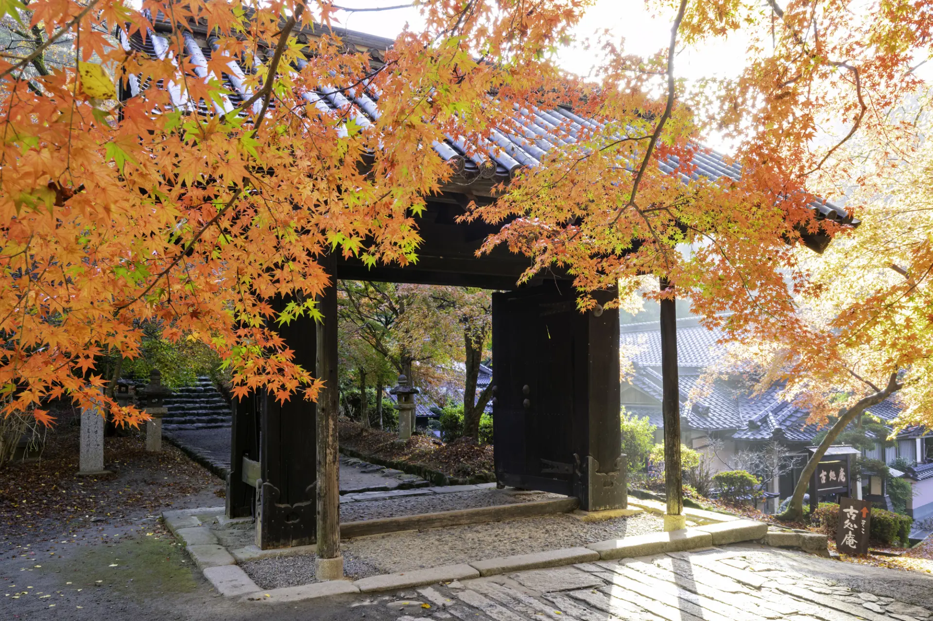 歴史と風情を感じる秋の秋月城跡