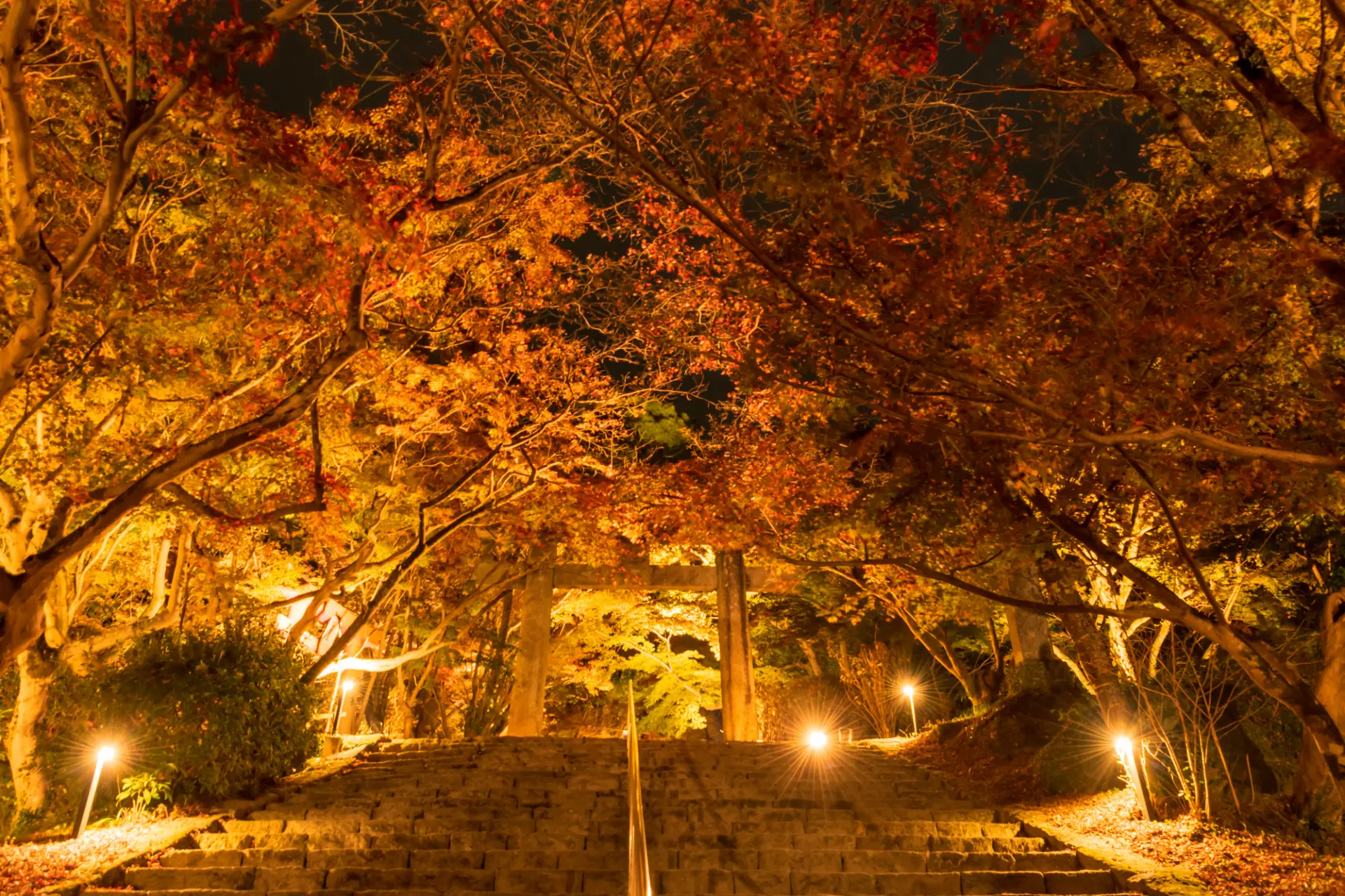 ライトアップされた神秘的な宝満宮竈門神社