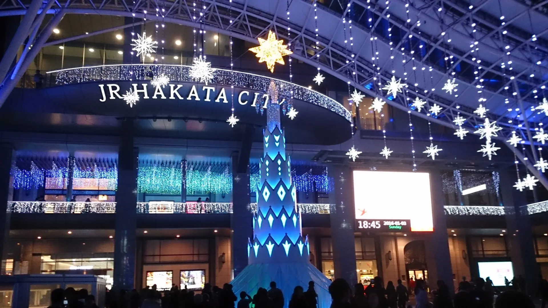 冬の福岡ならではの景観も楽しもう