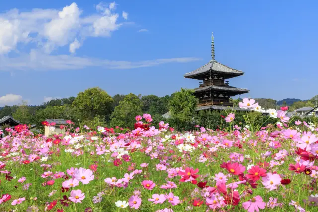 週邊地區得天獨厚的自然風光與三重塔共同編製出一幅大氣磅礴的風景畫