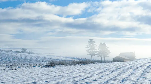 【出发前必读】北海道自由行完整指南