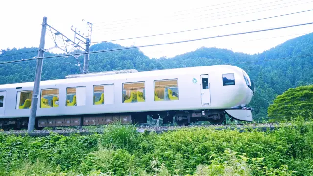 Special Limited Express Laview Connecting Tokyo with Hanno Area