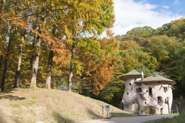 The Mushroom House bathed in autumn colors.