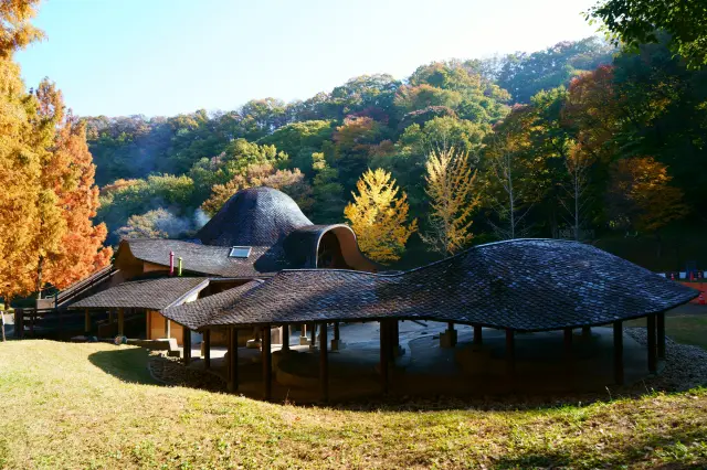 The Children's Theater, built with cypress trees over 100 years old.