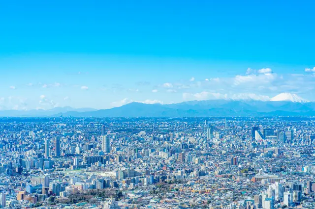 綿延於關東平原的東京都市景觀