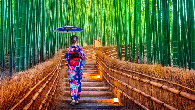 【超严选】关西必去景点21选！探寻日本灵魂与文化的关西之旅一篇搞定～