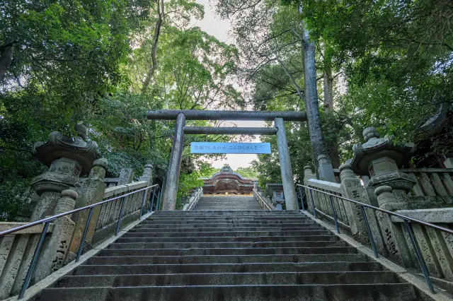 有「金比羅先生」的暱稱，是四國地區首屈一指的能量景點