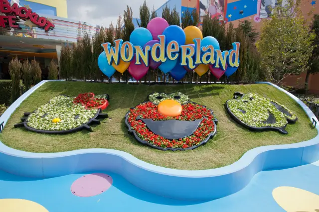 An area with endless ways to play, where both kids and adults can have fun