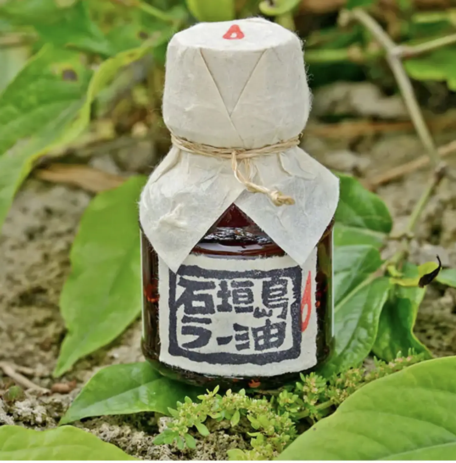 回头客接连不断！石垣岛辛香呛辣的万能调味料