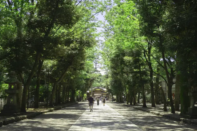 「바바다이몬 느티나무 가로수길」의 일부인 참배길을 걷기