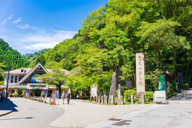 만약 케이블카를 이용한다면 갈림길에서 곧장 가세요