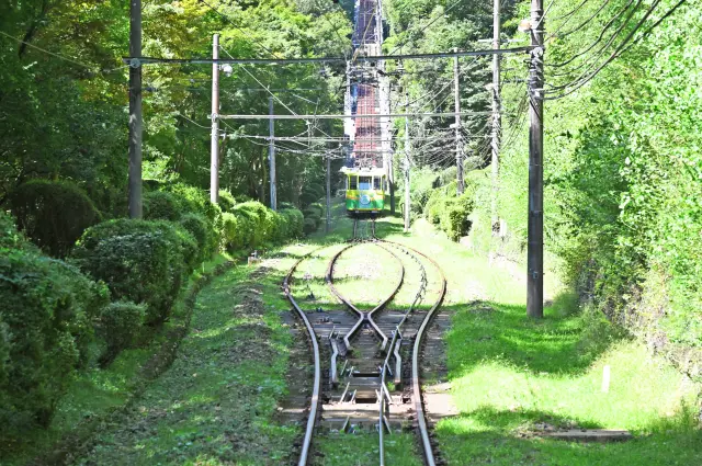 케이블카로만 감상할 수 있는 경치도 매력 중 하나