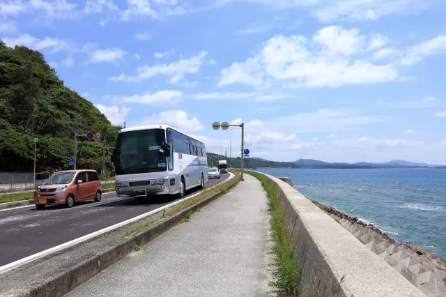 不知該如何安排行程的人，推薦定期觀光巴士