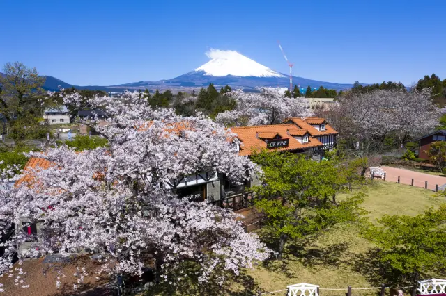 You can also enjoy breathtaking views of Mount Fuji from within the facility.