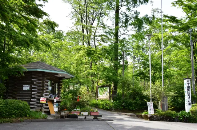 Enjoy seasonal landscapes and alpine plants at Fujisan Otainai Seikouen.