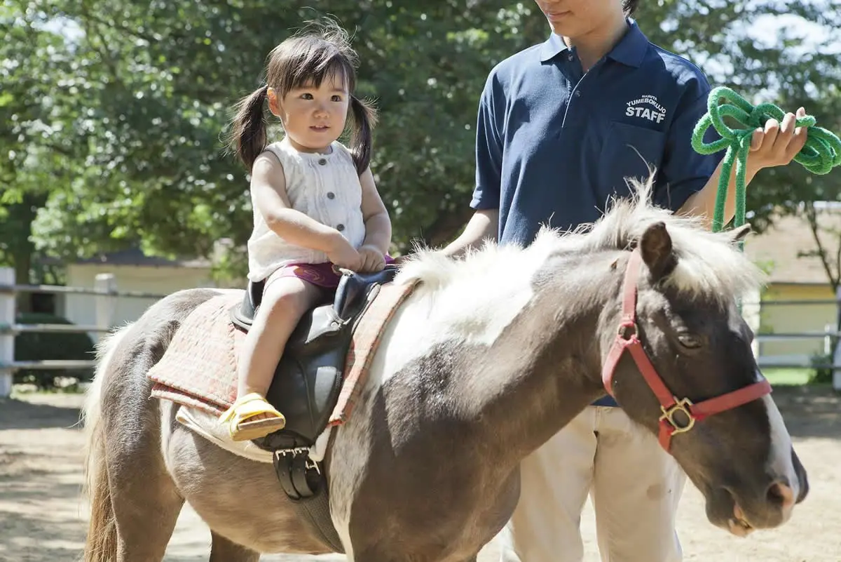 小さな子どもも体験可能なポニーの乗馬体験