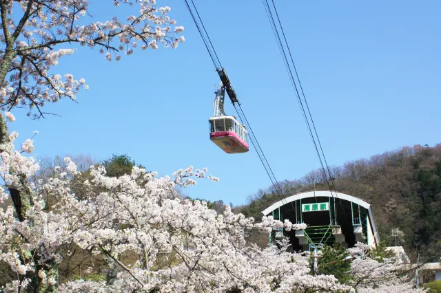 開啟通往非日常的大門，眺望別府之美的空中道路