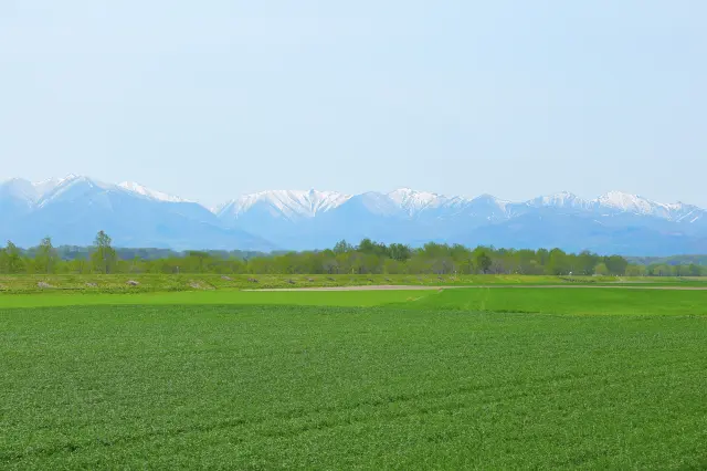 【超嚴選】一篇掌握！帶廣必去景點17選