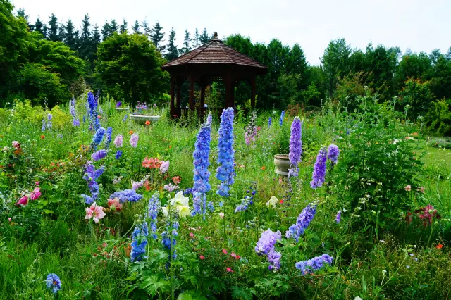 在廣闊的園區內設有多個花園區域，可欣賞到隨著四季而變化的各種植物