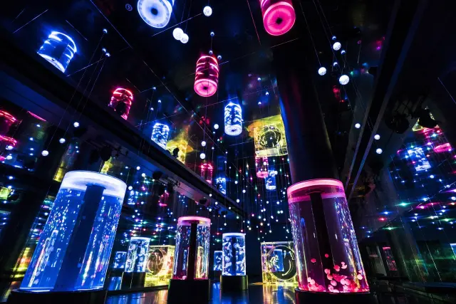 A city aquarium where sea life is showcased with sound, light, and visuals