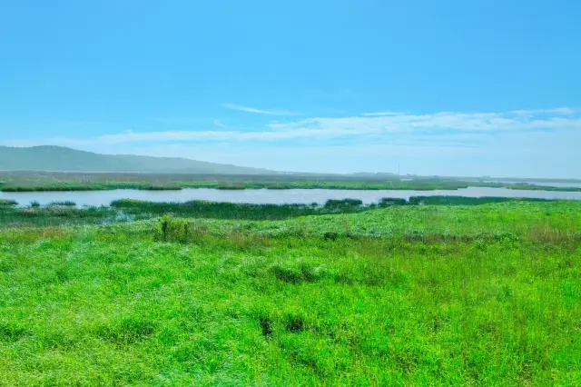 【超嚴選】一篇搞定！釧路必去景點10選