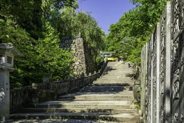 據說過去「金毘羅狗」也曾參拜過的石階