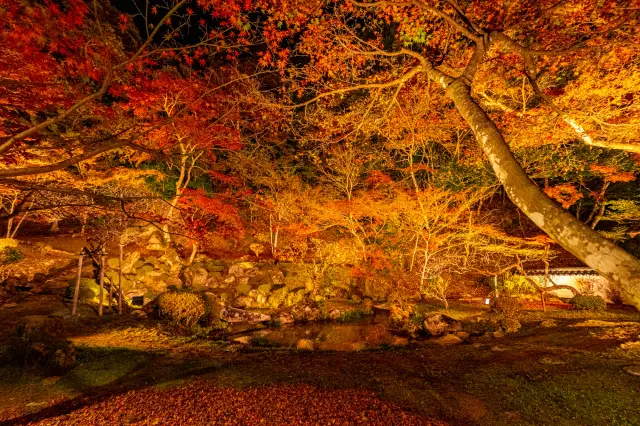 建議巡遊散佈在福岡各處的紅葉名勝