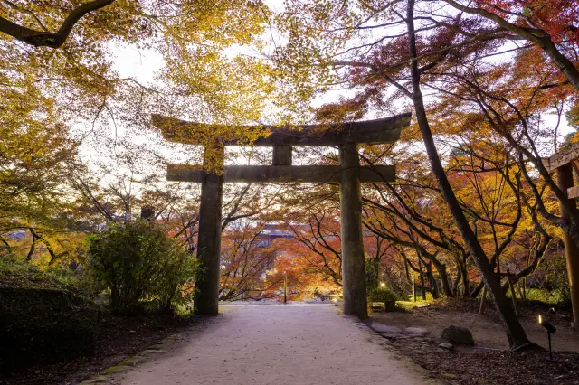 四季皆有美丽风景的恋爱神社，还是人气动漫《鬼灭之刃》的朝圣地