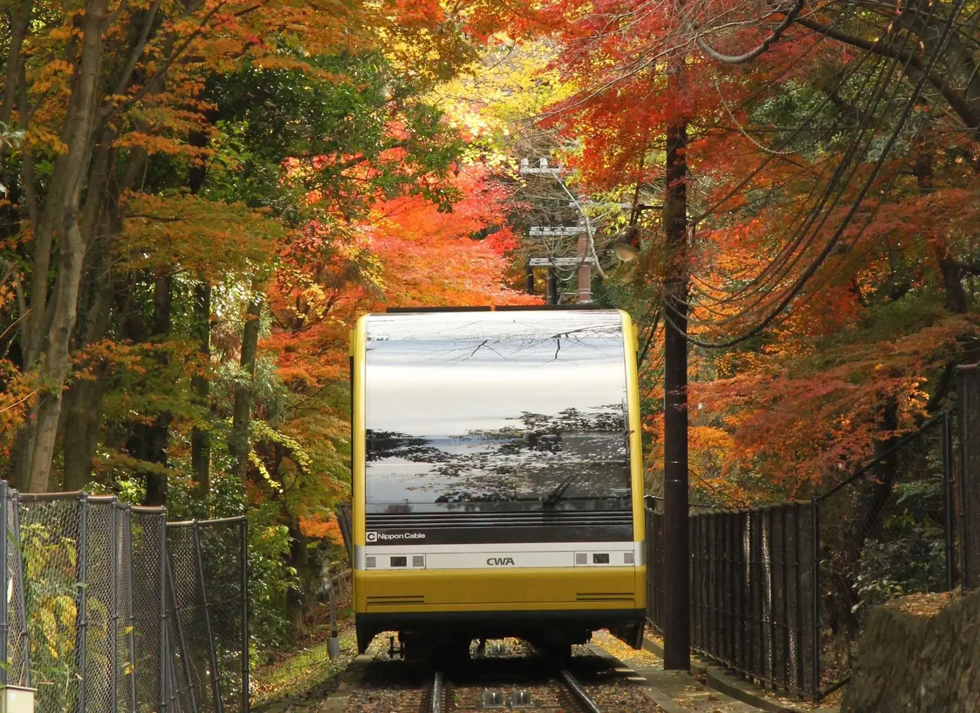 During the foliage season, the Mount Sarakura Cable Car offers colorful views through its windows and across the mountainside