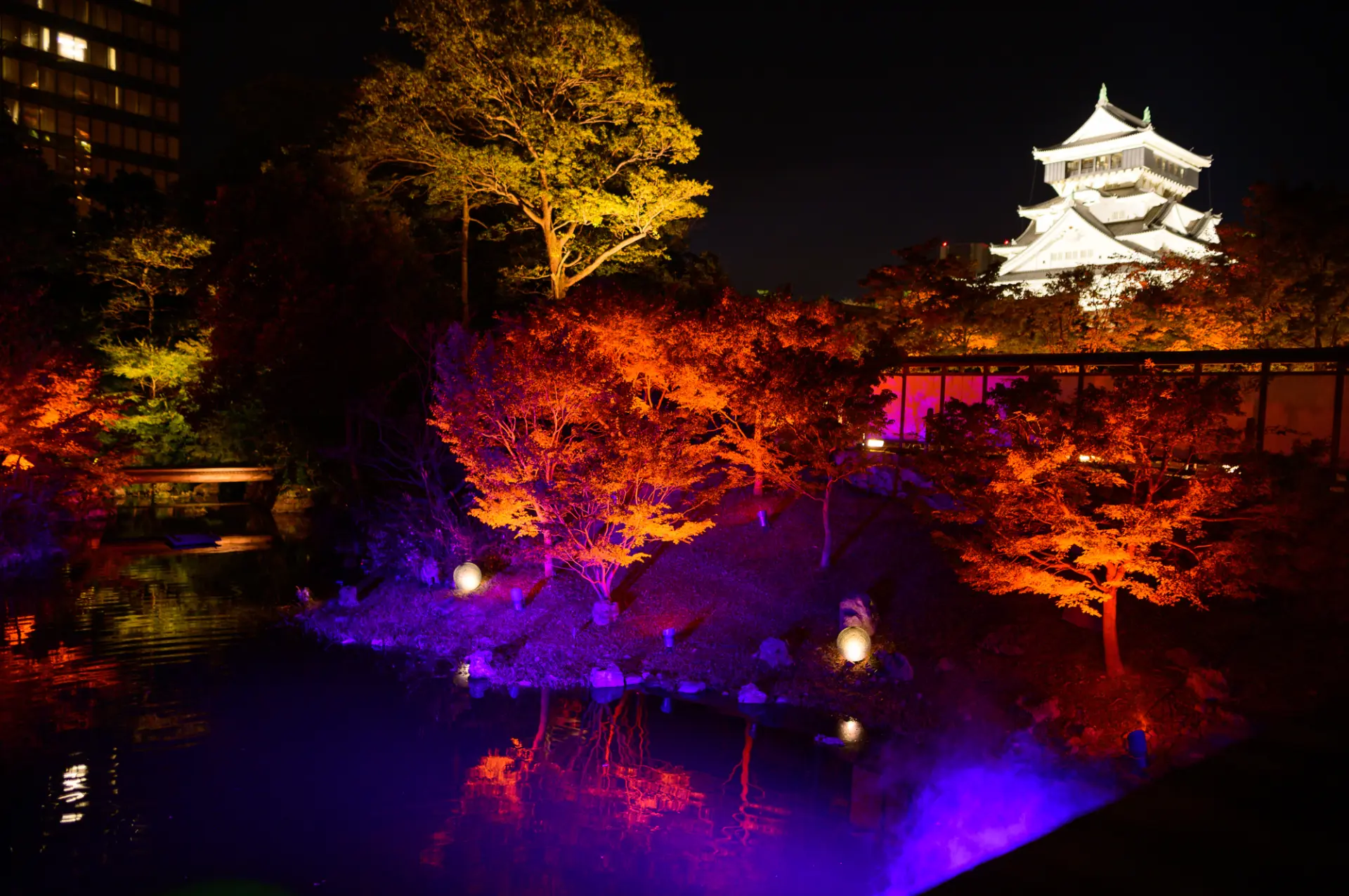 Take in the atmospheric sight of Kokura Castle and the autumn leaves illuminated at night