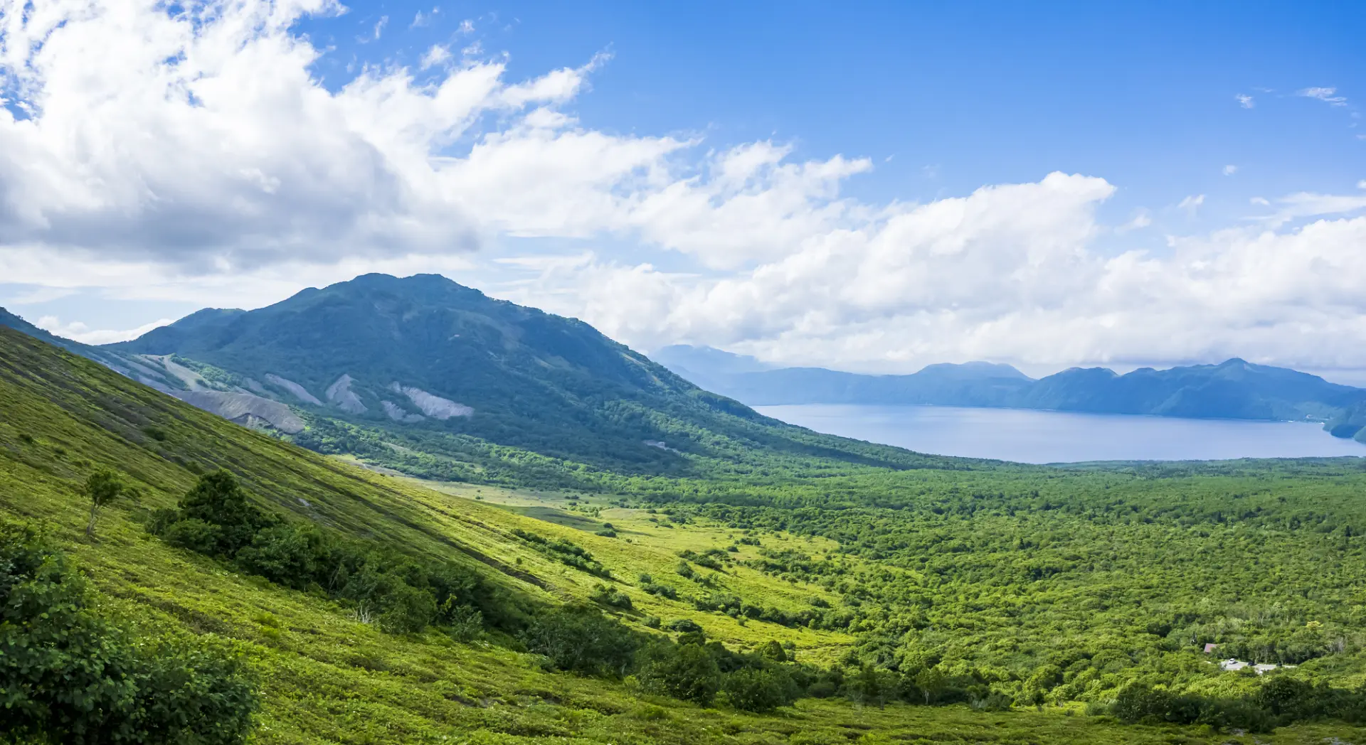 北海道 苫小牧 市
