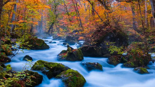 【奧入瀨溪流完整指南】四季魅力&必看重點、推薦旅宿一篇掌握！